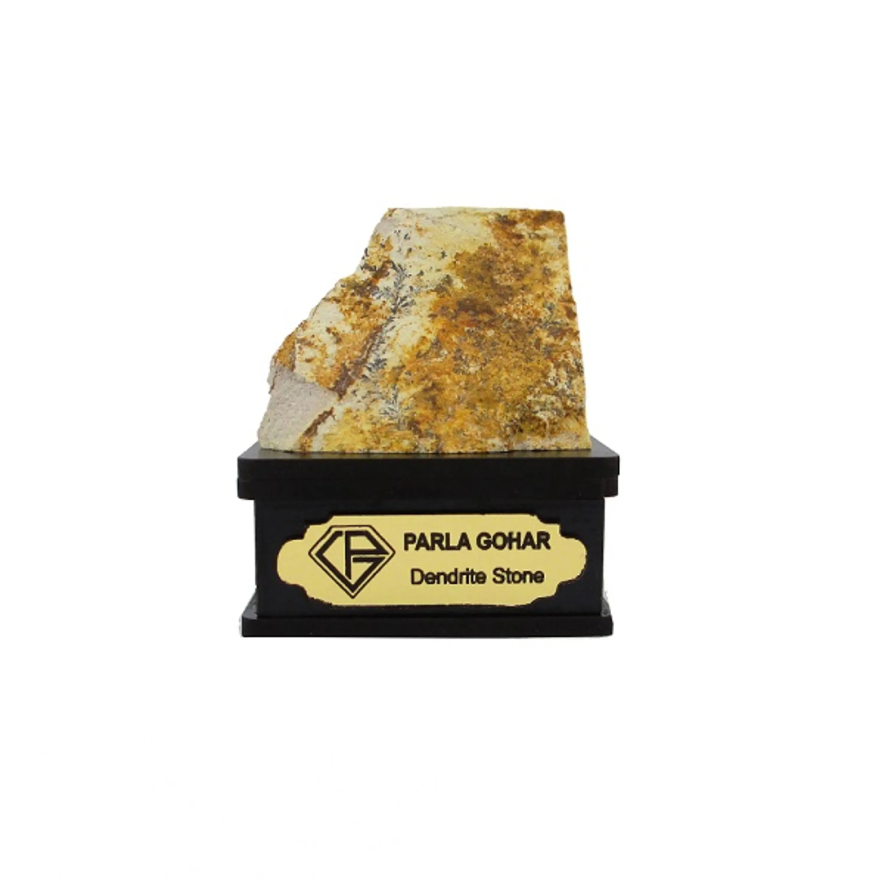 شجر راف کد 2358